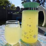 Fresh-Squeezed Lemonade